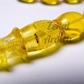 Fosilli Damla Kehribar