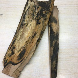 Mamut Dişinden Yapım