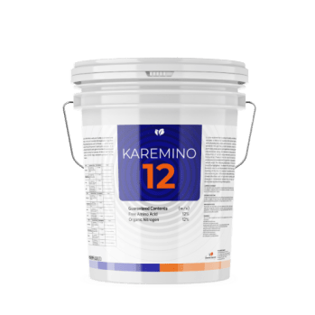 KAREMINO 12