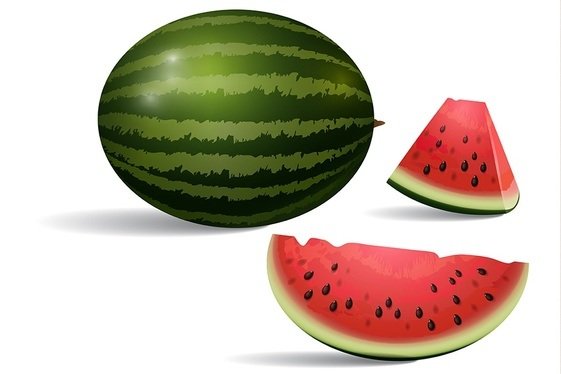 asili-karpuz-fideleri