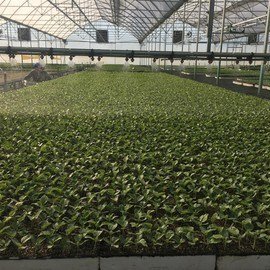 152333558_10159039152399921_693503614320290981_n