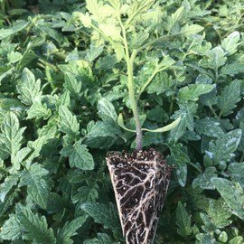 152491212_10159039151964921_5279455919607222840_n