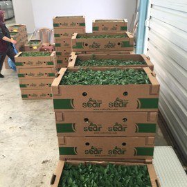 169085958_10159143367619921_8855984378184171041_n