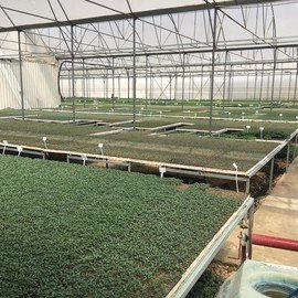 175544744_10159176802554921_6393891533464324505_n