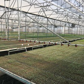 176115217_10159176802369921_3935451981193277833_n