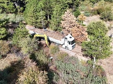 Whatsapp Image 2025-10-09 At 09.58.06