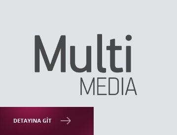 multi-media
