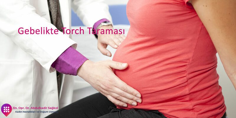 torch-taramasi