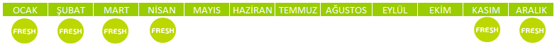 PORTAKAL.png