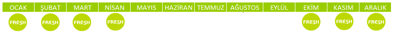 NANE.png