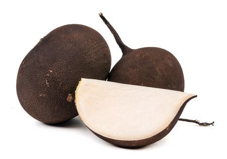 yaş sebze siyah turp