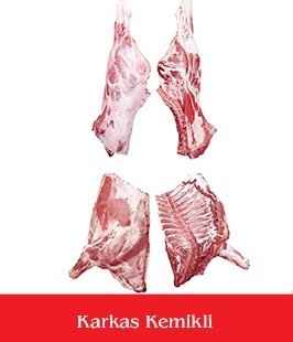 karkas kemikli_2