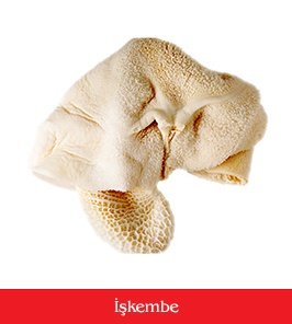 işkembe