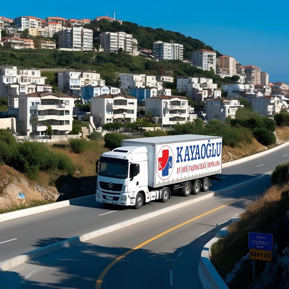 erenkoy-nakliye-firmasi