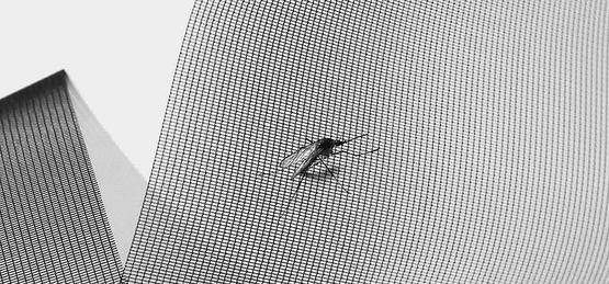 Insect Screen Systems