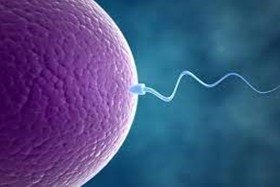 İnfertilite