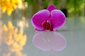 Biyoeşdeğer Hormon Tedavisi