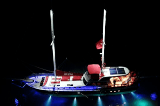 Blue Dream Deluxe Yacht