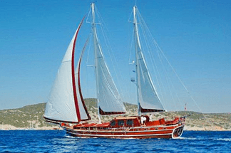 Why Not 2 Deluxe Yacht