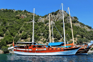 Ramzanoğlu Standard Yacht