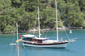 Umut Standard Yacht