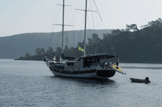 G Okan Standard Yacht