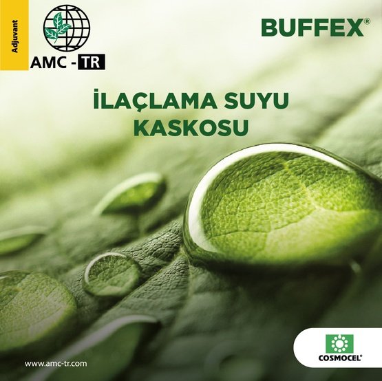 BUFFEX