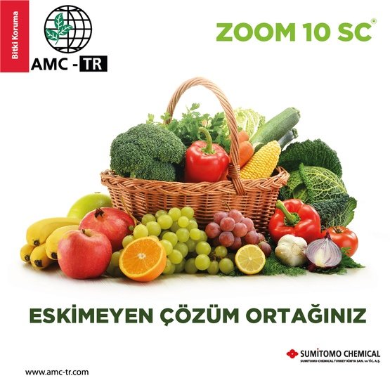 ZOOM 10 SC