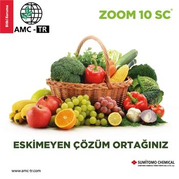 ZOOM 10 SC