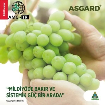 ASGARD