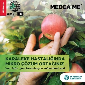 MEDEA ME