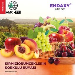 ENDAXY 240 SC