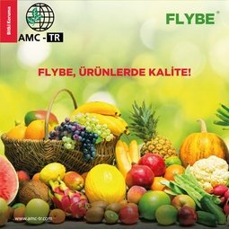 FLYBE