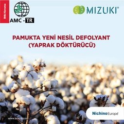 MİZUKİ