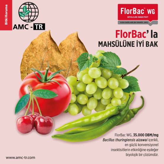 FLORBAC WG