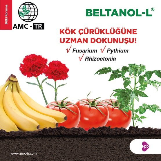 BELTANOL L