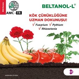 BELTANOL L