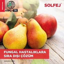 SOLFEJ