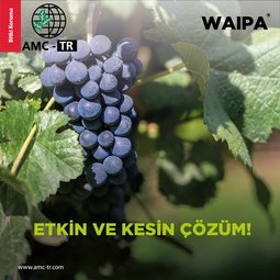 WAIPA