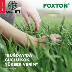 FOXTON