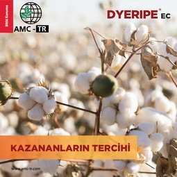 DYERIPE 116.2 EC