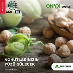 ONYX 600 EC
