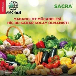 SACRA