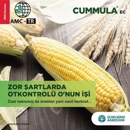 CUMMULA EC