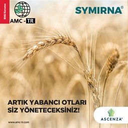 SYMIRNA