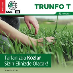 TRUNFO T