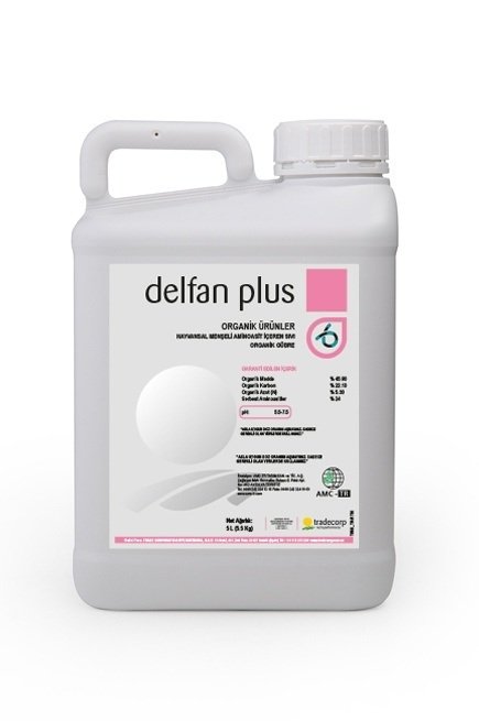 delfan-435x655