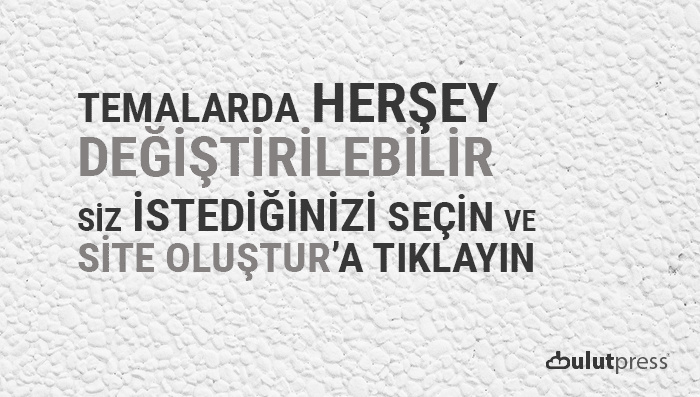 e-ticaret teması nasıl seçilir?