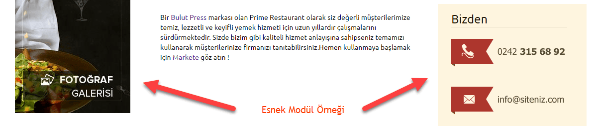 esnek modül örneği.png
