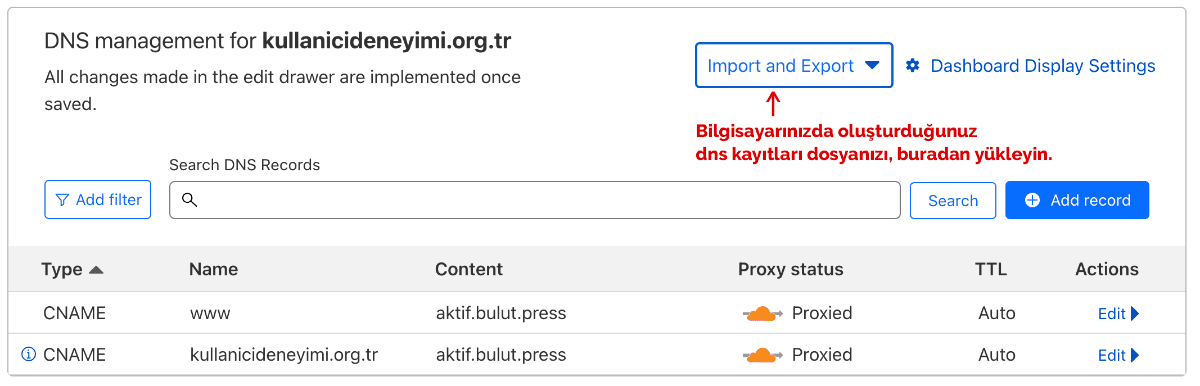 dns kayıtlarını import etmek